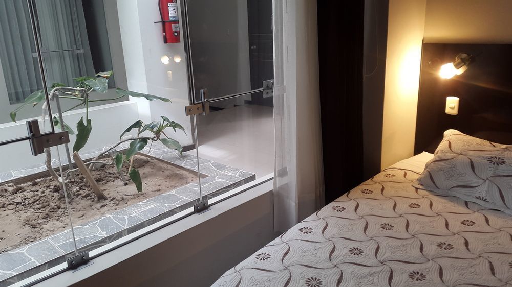 La Lisera Suite Residencial Такна Экстерьер фото